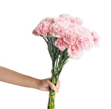 Load image into Gallery viewer, Light Pink carnation bouquet for weddings and events (BloombyBunches.ca)