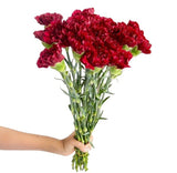 Load image into Gallery viewer, Red carnation bouquet for weddings and events (BloombyBunches.ca)