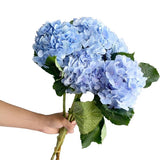 Load image into Gallery viewer, Blue Hydrangeas - Large blooms, perfect for weddings and events (BloombyBunches.ca)