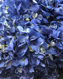 Load image into Gallery viewer, Close-up of shocking blue Premium Hydrangea Bloom (BloombyBunches.ca)