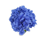 Load image into Gallery viewer, HYDRANGEAS SHOCKING BLUE - bloombybunches