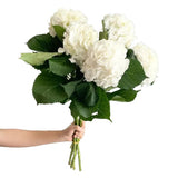 Load image into Gallery viewer, White Hydrangeas - Large blooms, perfect for weddings and events (BloombyBunches.ca)