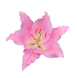 Load image into Gallery viewer, LILY ORIENTAL PINK - bloombybunches