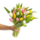 Load image into Gallery viewer, TULIP ASSORTED - bloombybunches