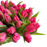 Load image into Gallery viewer, TULIP HOT PINK - bloombybunches