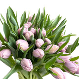 Load image into Gallery viewer, TULIP LAVANDER - bloombybunches