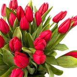 Load image into Gallery viewer, TULIP RED - bloombybunches